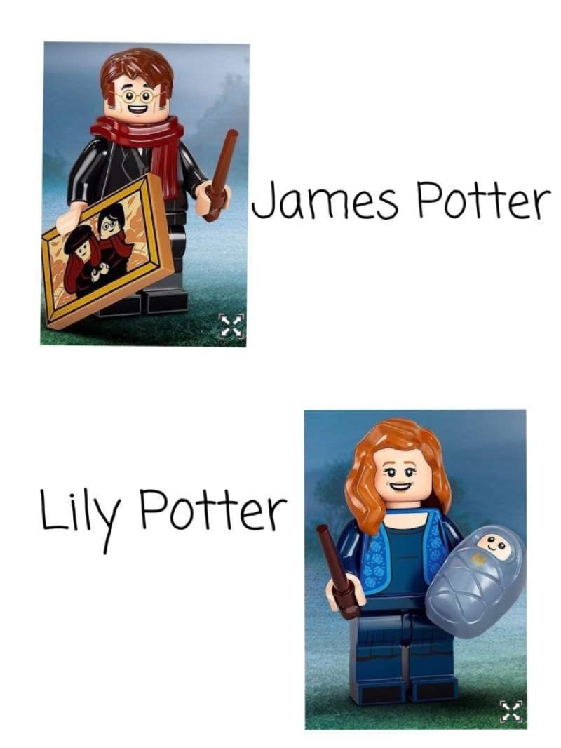 Lego lily store and james potter