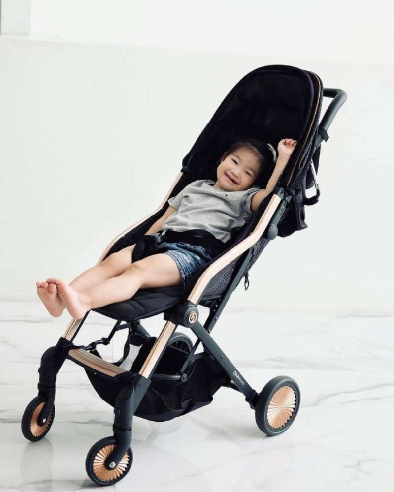 Hybrid cabi sport 2025