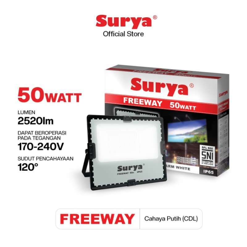 Surya 50 shop watt flood light