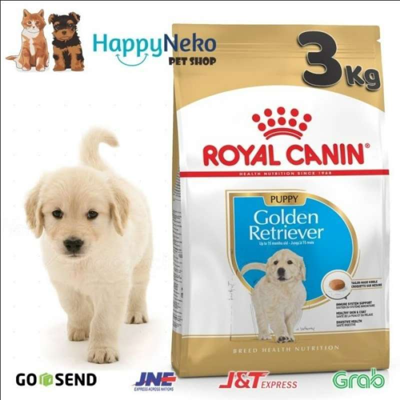 Anak top golden retriever