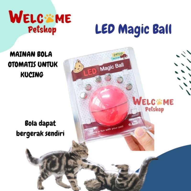 Promo LED Magic Ball Mainan Kucing Anjing Otomatis Gerak Bola