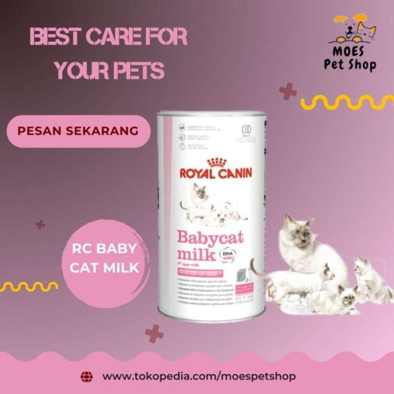 Rc baby cat milk top