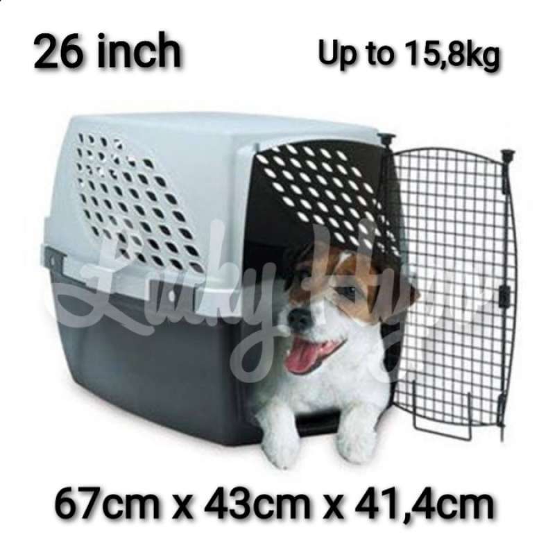 Noz2noz dog crate discount