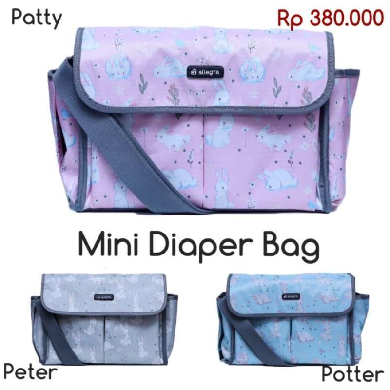 Allegra diaper discount bag