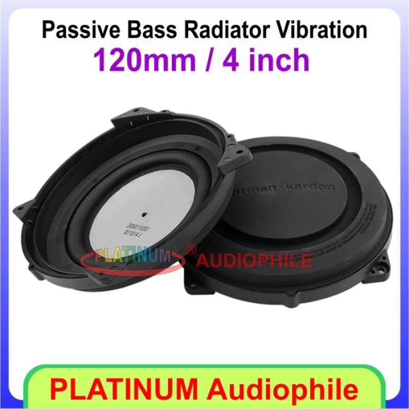 4 inch 120mm bass radiator passive speaker sales