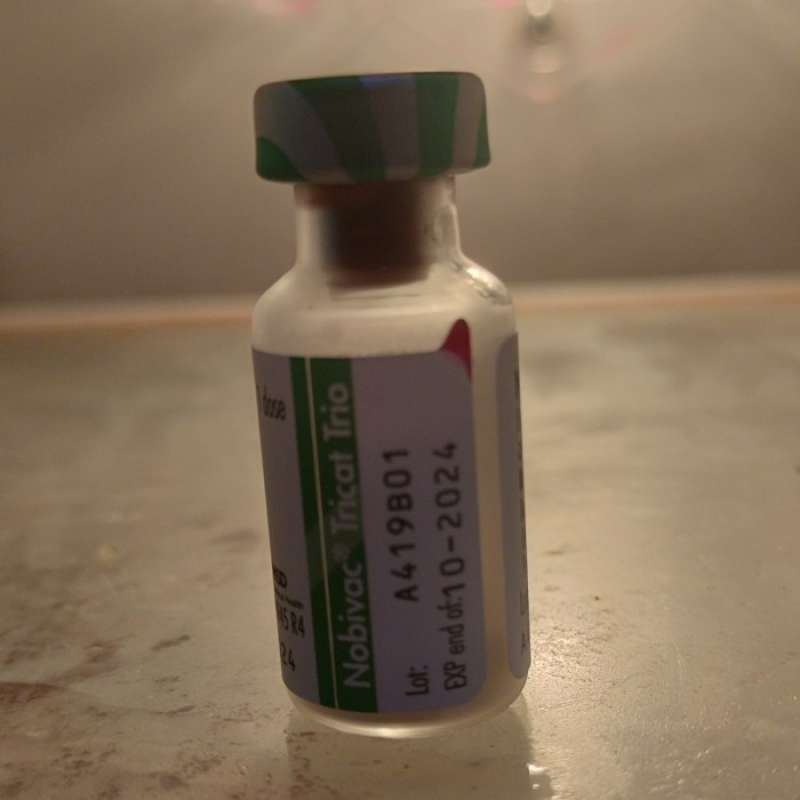 Tricat vaccine on sale
