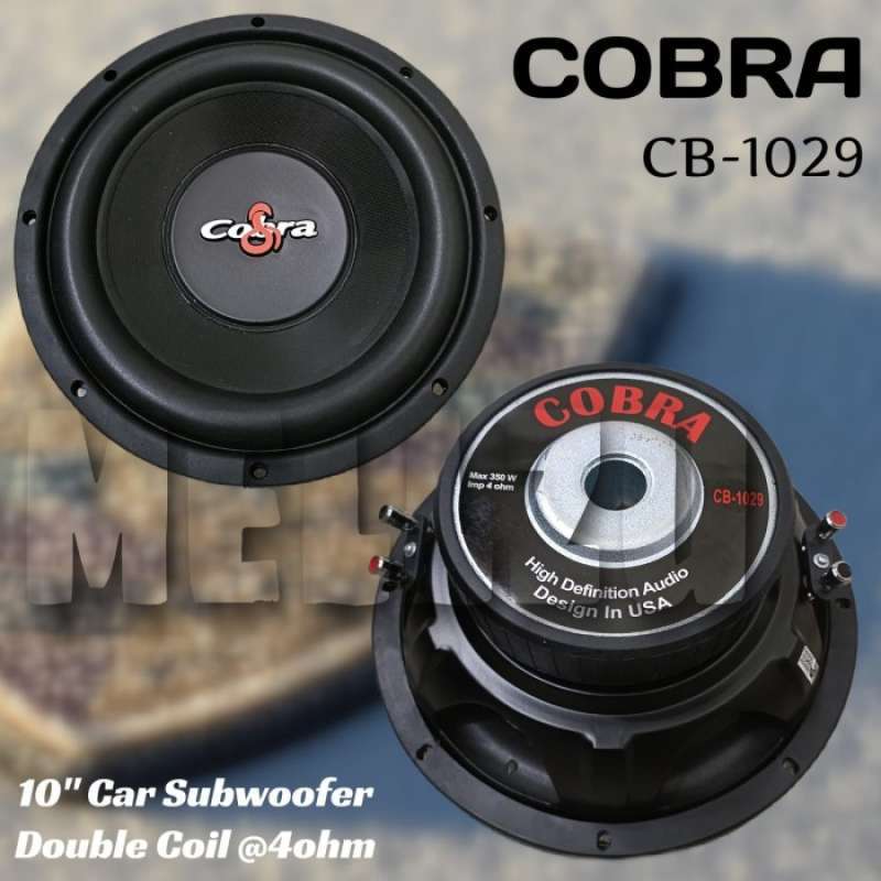 Speaker 10 inch discount double coil