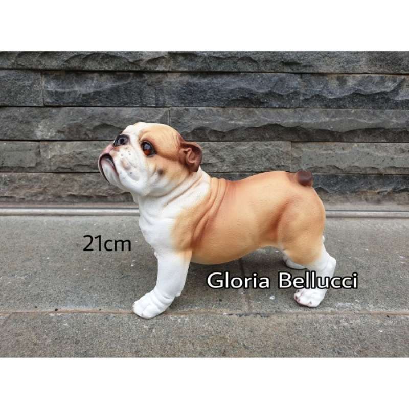 Harga english bulldog clearance