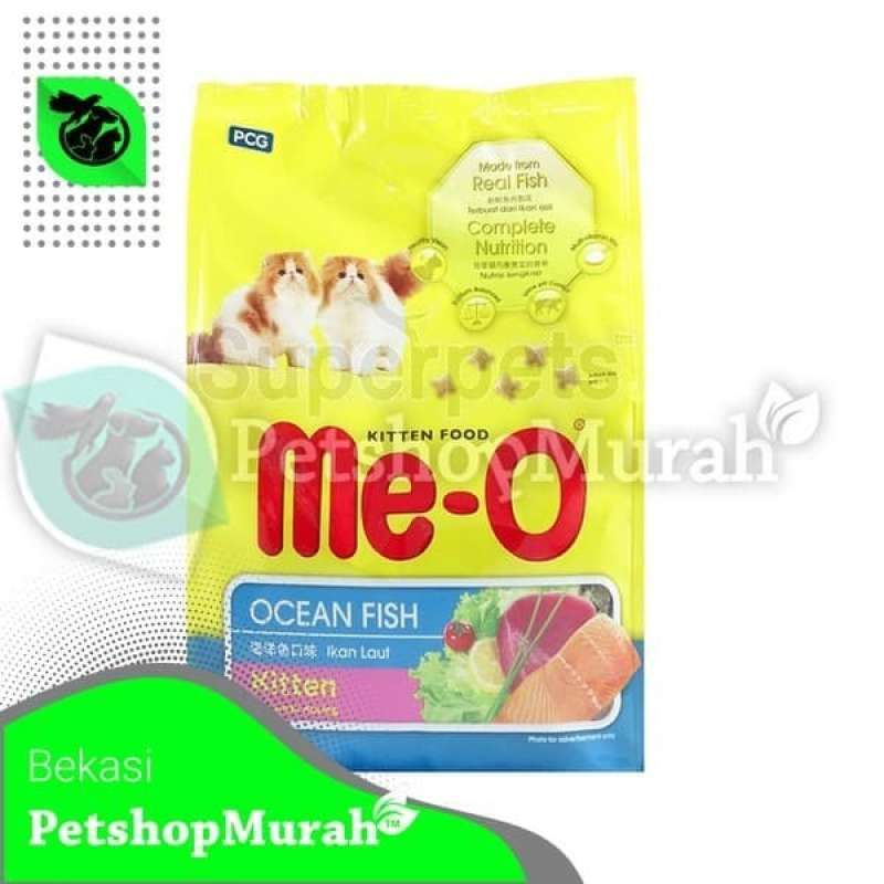 Meo kitten ocean fish shop