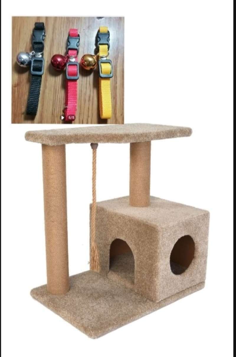 Condo kucing discount