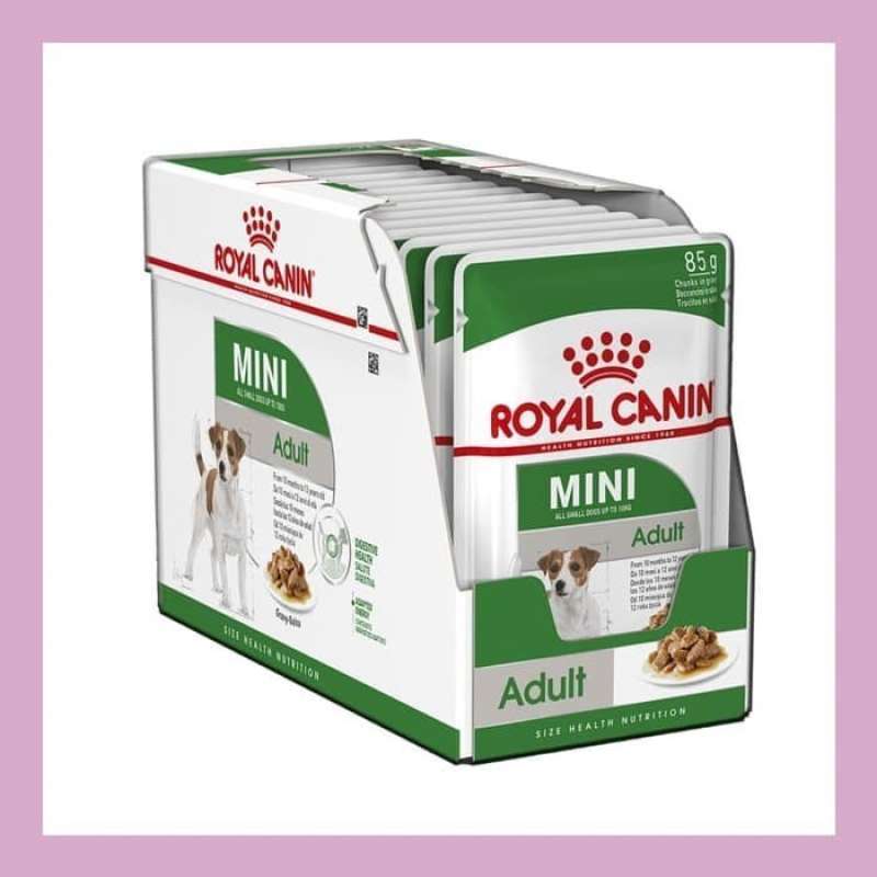Royal canin mini adult wet food sales
