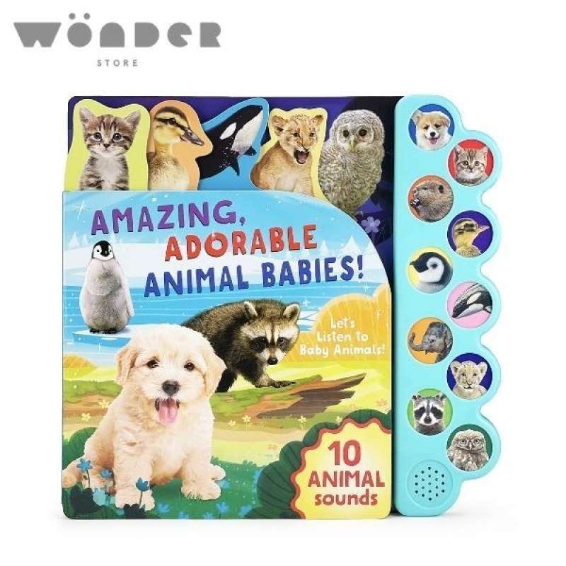 Animal sound discount books for babies