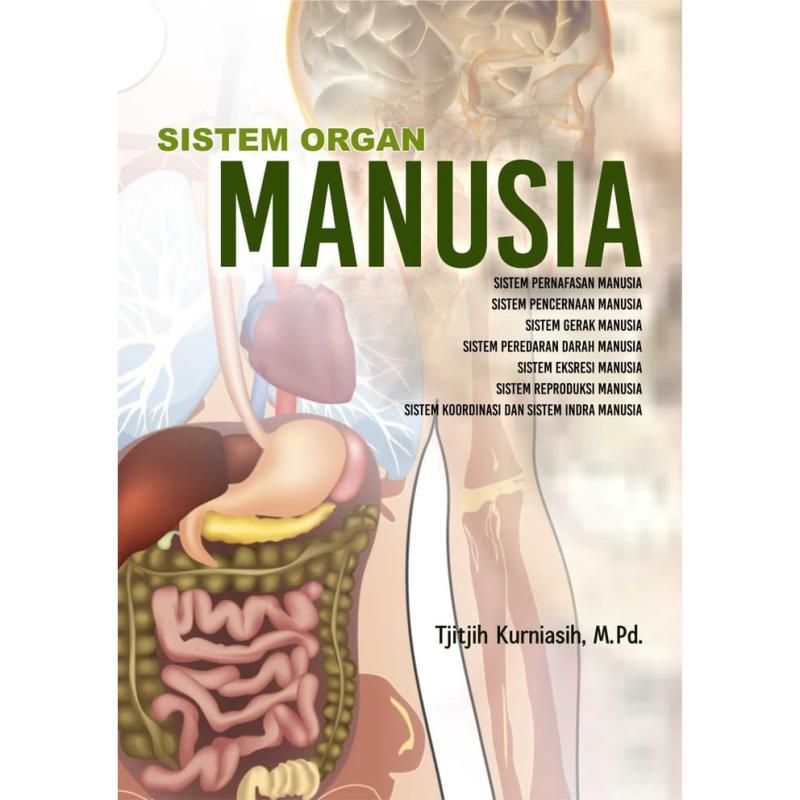 Shabnami sura 2011 seks