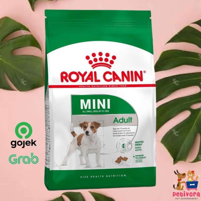 Royal canin sale adult 8kg
