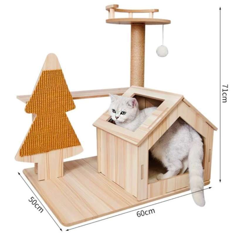 Condo kucing 2025