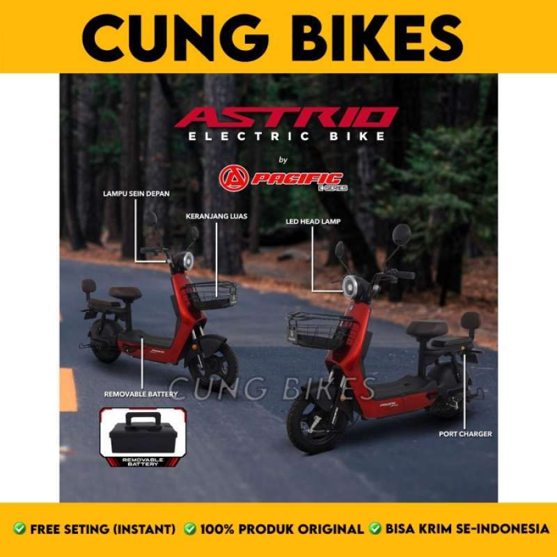 Sepeda Listrik Electric E Bike PACIFIC ASTRIO 500 Watt