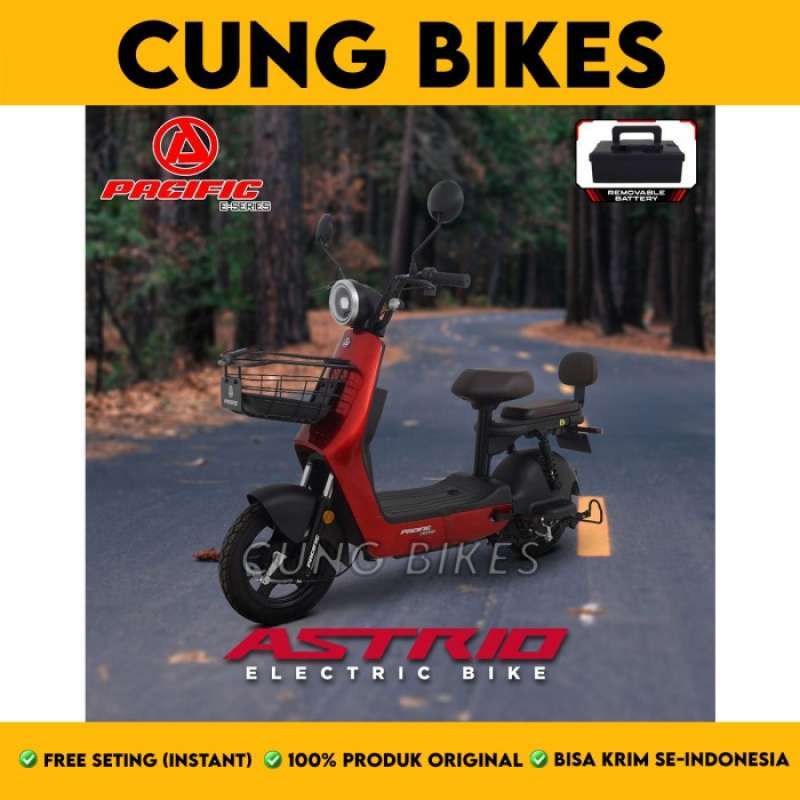 Pacific e 2025 bikes