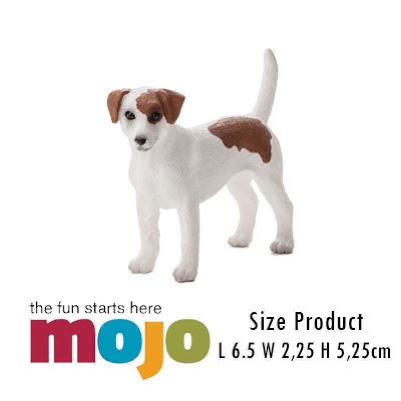 Jual jack russell terrier shop