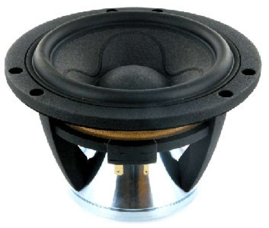 5.5 inch woofer best sale