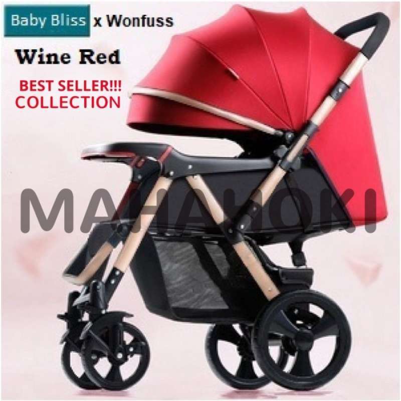 Stroller wonfuss review sale