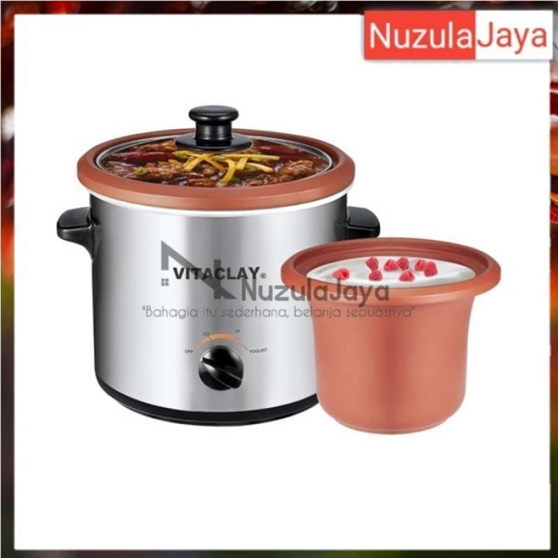 Clay yogurt maker store