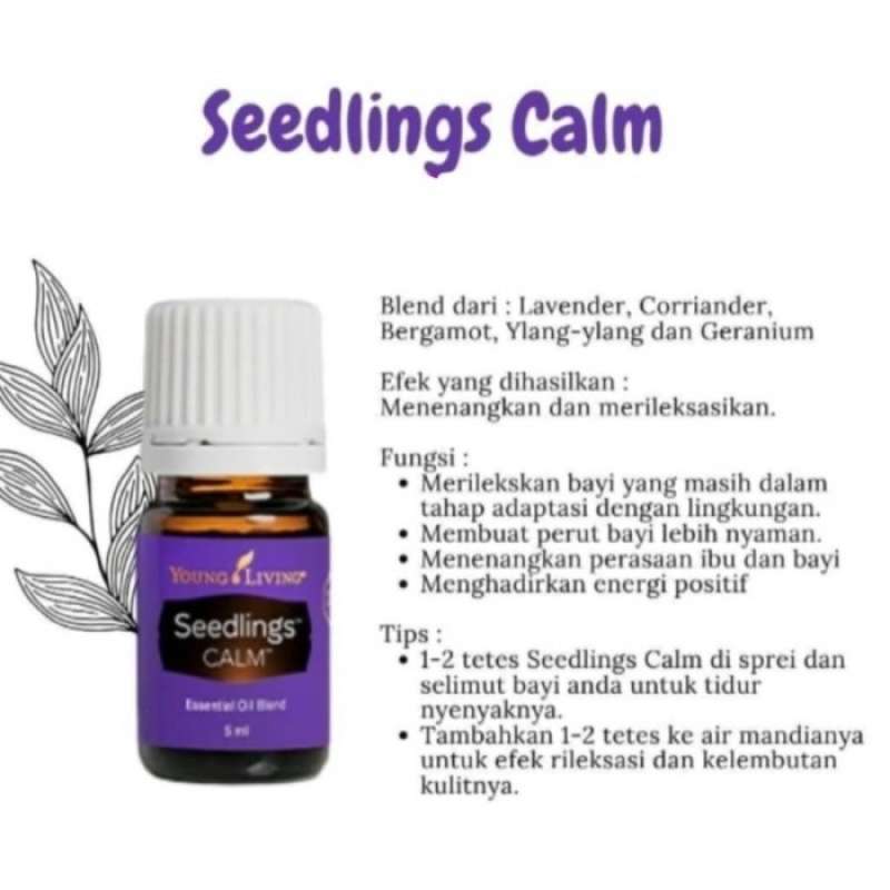 Seedling calm young hot sale living