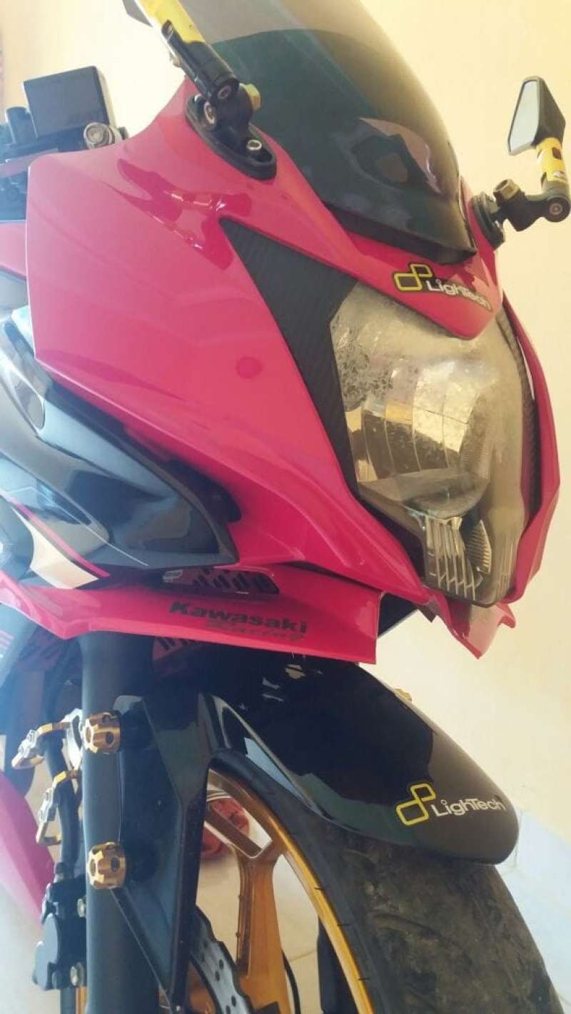 Winglet ninja cheap 250 sl