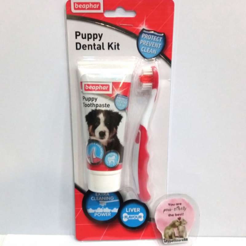 Beaphar puppy dental outlet kit