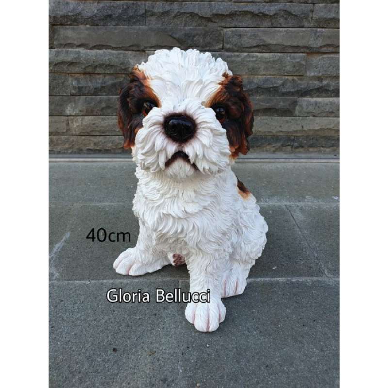 Jual mini hot sale shih tzu