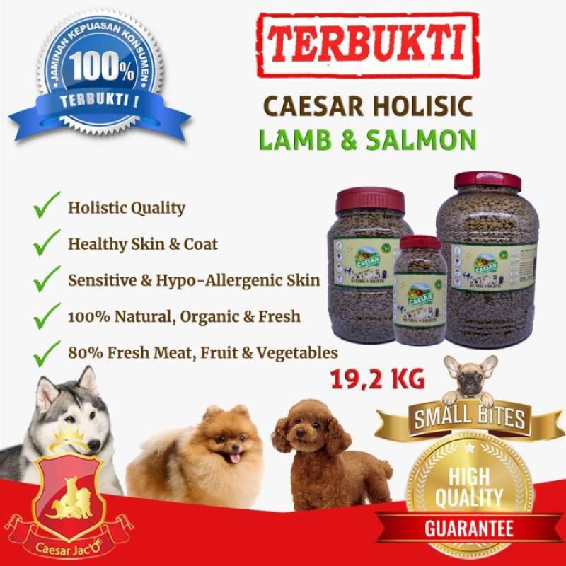 Merk dog top food holistic