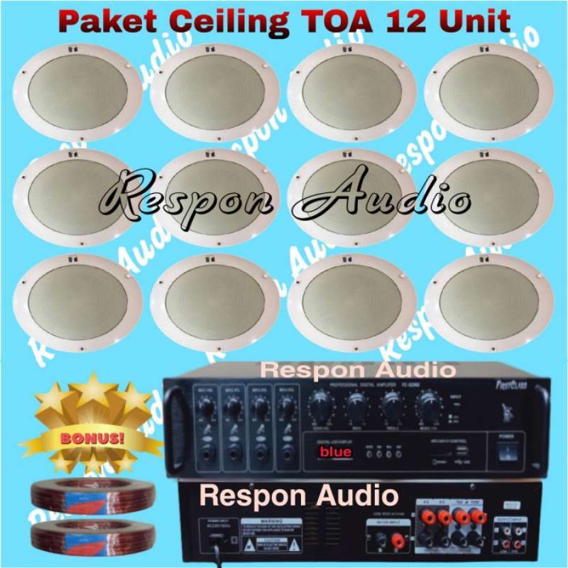 Speaker toa indoor top