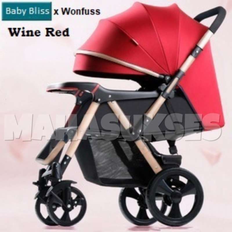 Review sales stroller wonfus