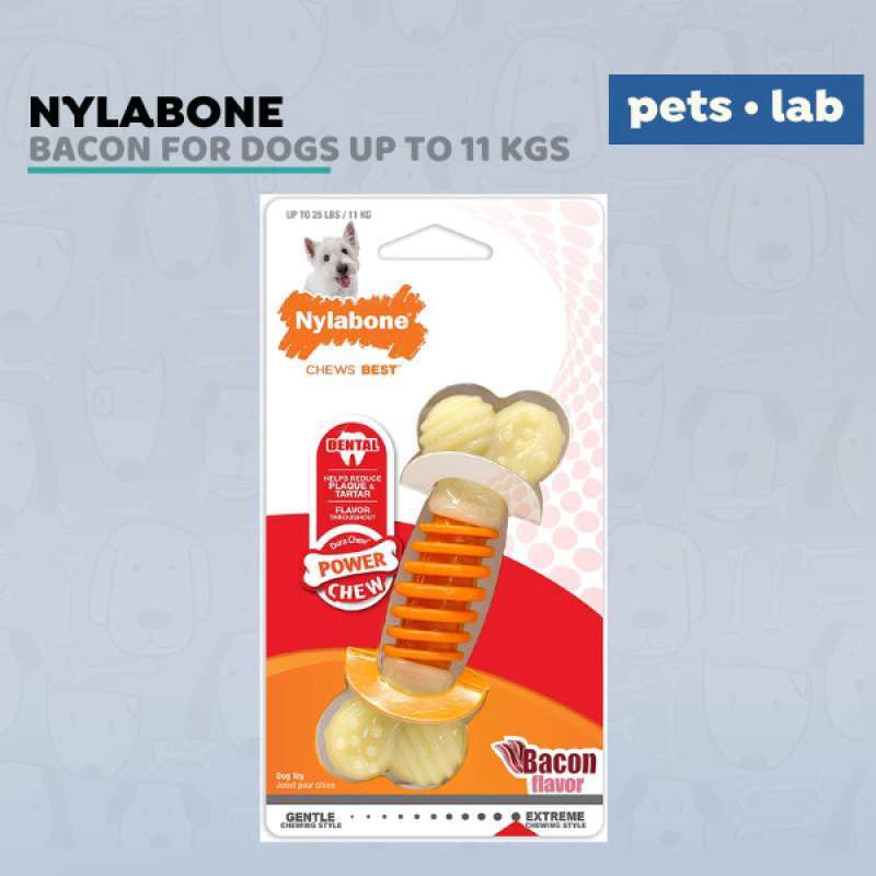 Nylabone pro action dental chew sales