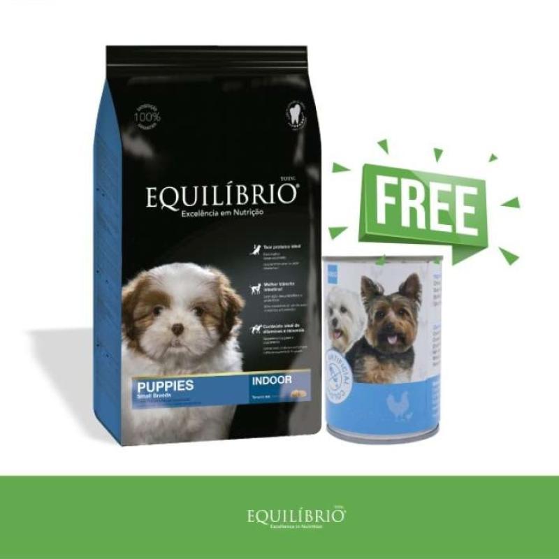 Equilibrio puppies clearance small breeds