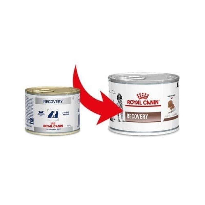 Royal canin sales recovery harga