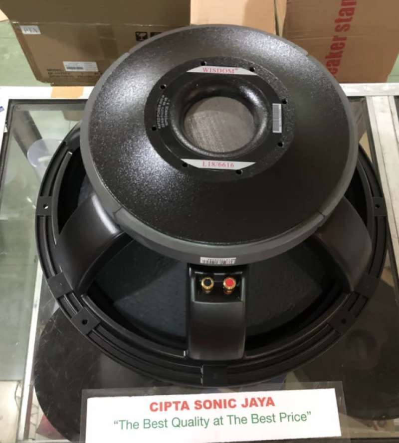 Speaker wisdom sales 18 inch