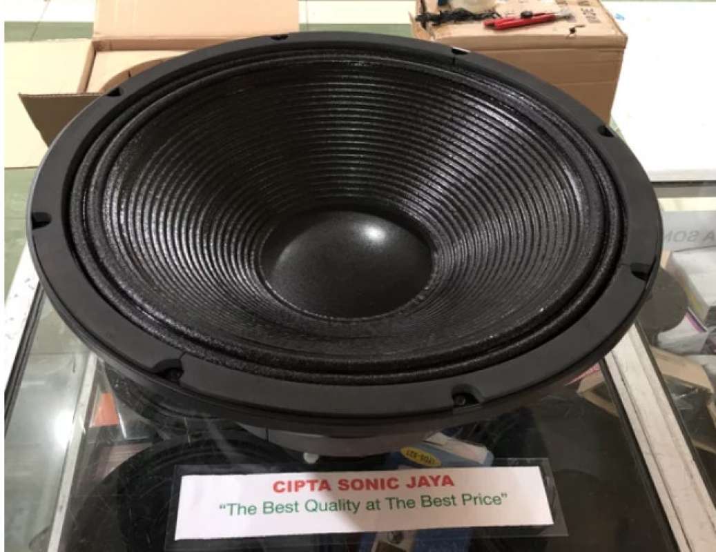 Speaker wisdom 18 inch 6616 top