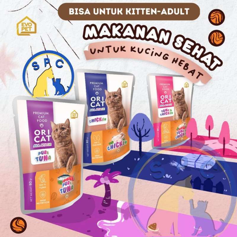 Wet food outlet untuk kitten