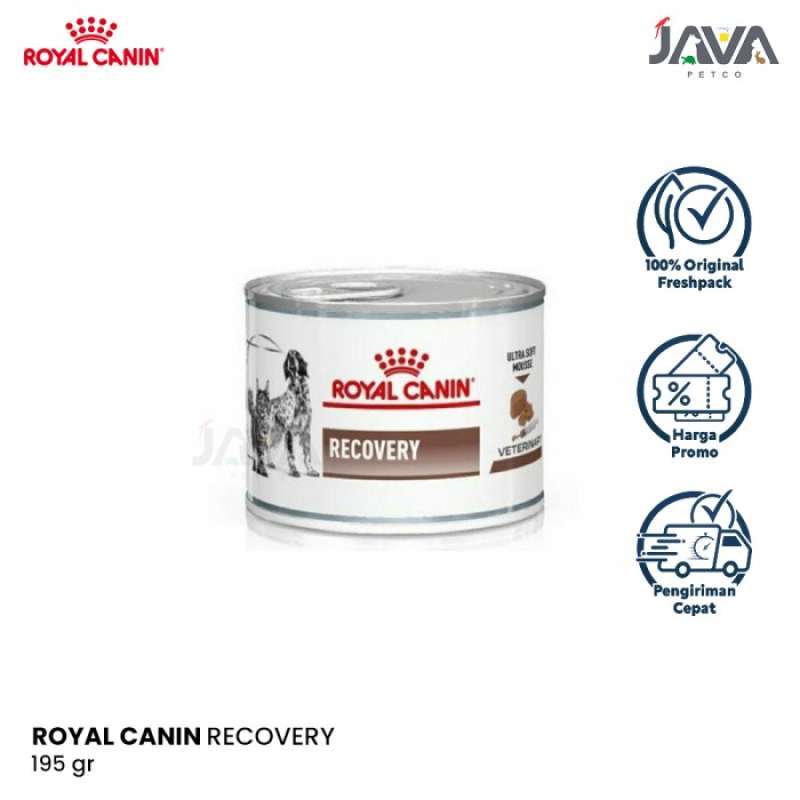 Royal canin recovery harga top