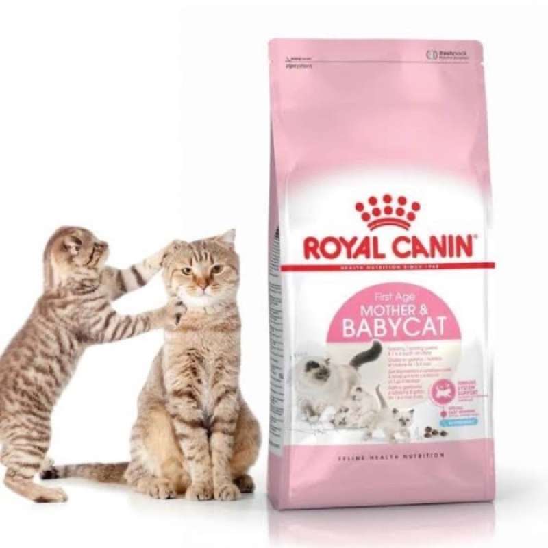 Royal canin baby cat 2kg discount