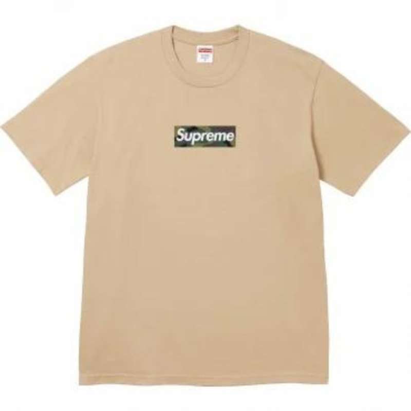 Supreme Box Logo T-shirt Authentic