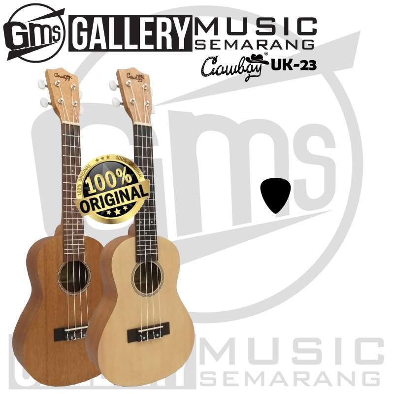 Ukulele concert shop cowboy