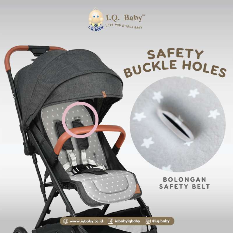 Alas stroller new arrivals joie