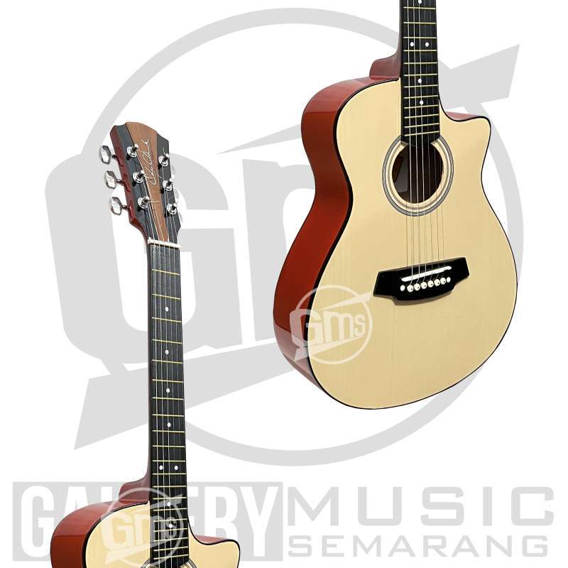 Gitar cole clark custom on sale