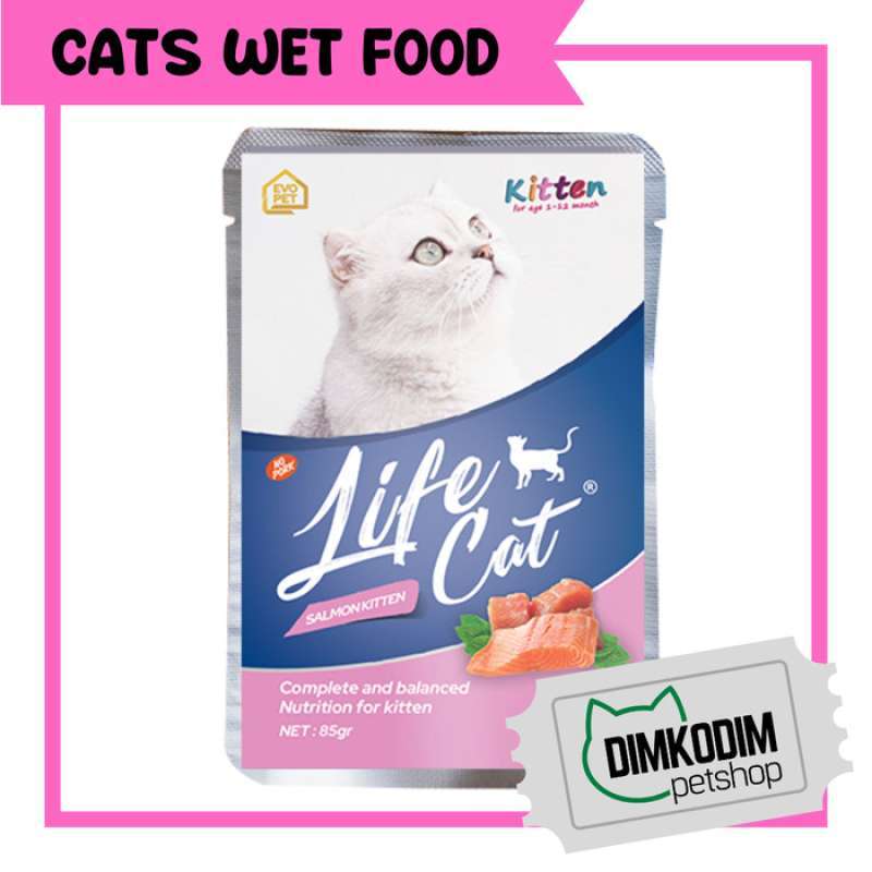 Wet food kucing 2025