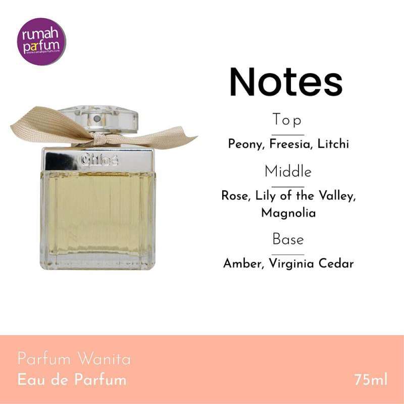 Chloe by best sale chloe notes