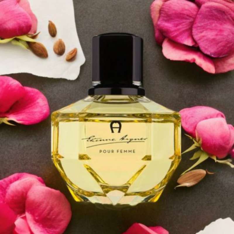 Aigner pour femme cheap