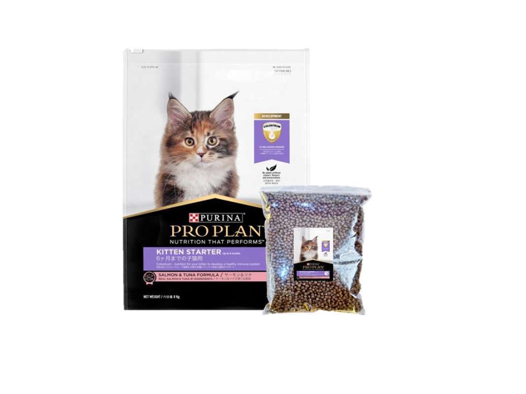Proplan kitten shop