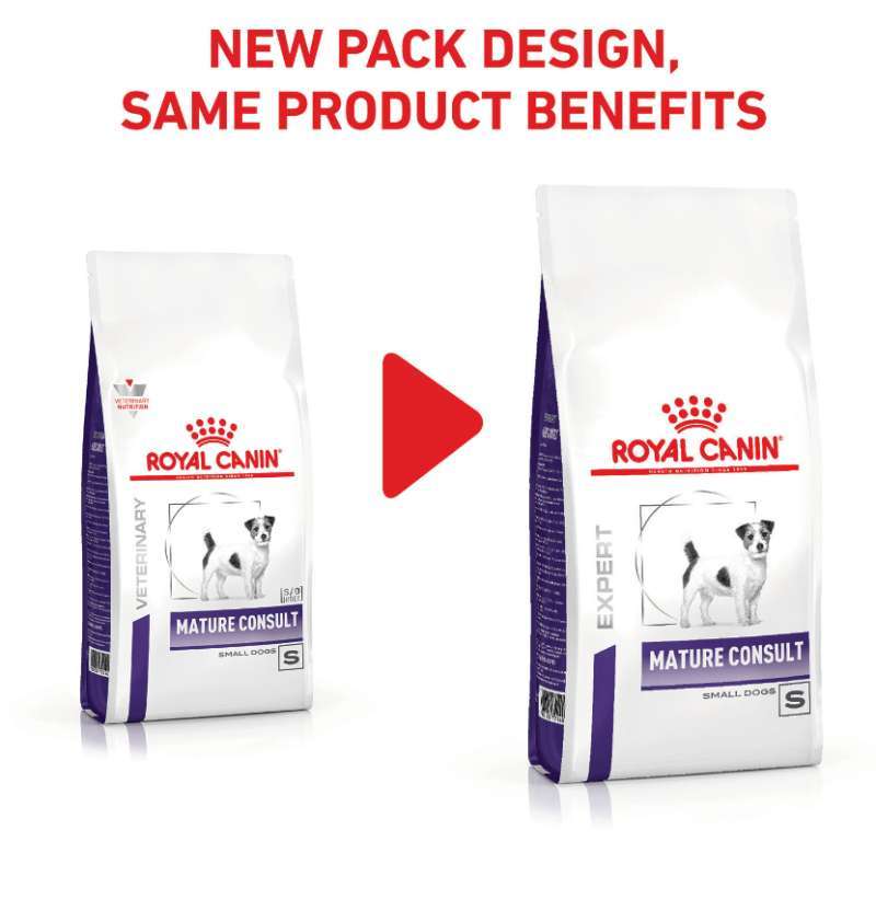 Royal canin best sale mature small dog