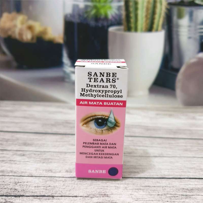 Aridarum perisai for 8 eyes 水草 Aridarum perisai for 8 eyes